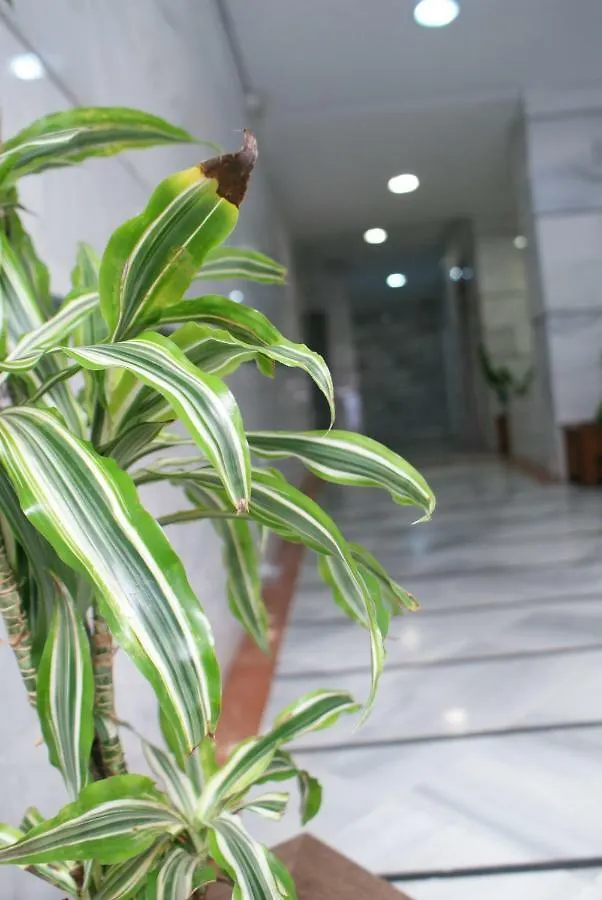 Apartament Calma Chicha Malaga Hiszpania
